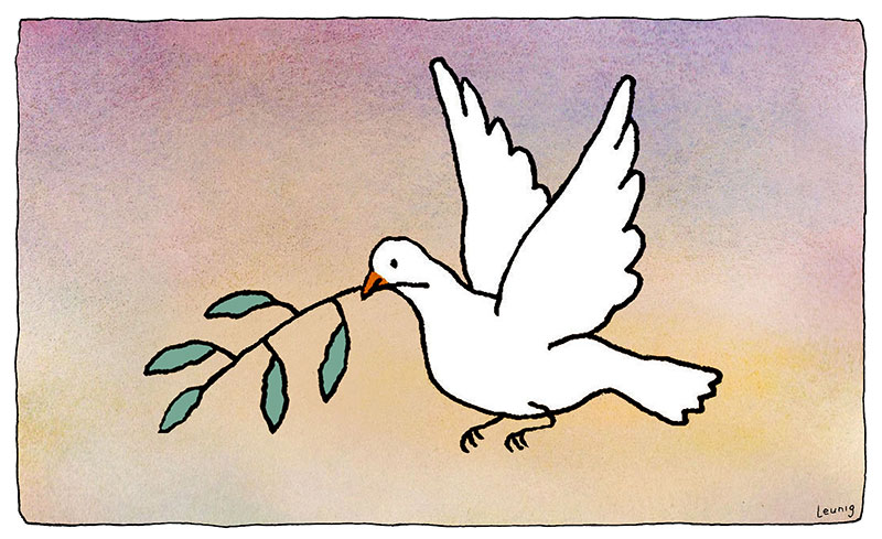 peace dove