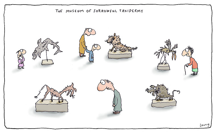 taxidermyW